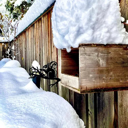 Rebecca * Schönwies