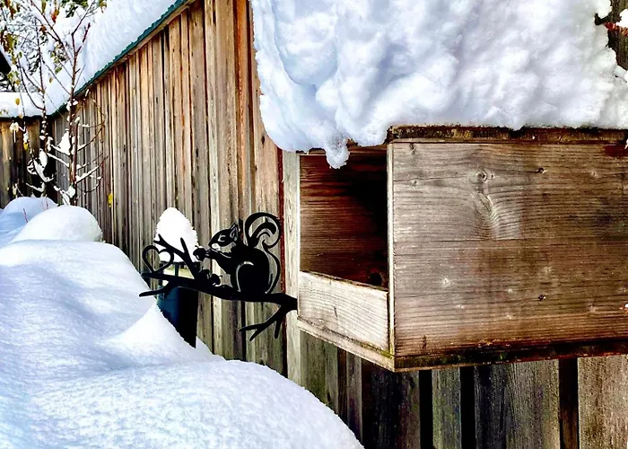 Rebecca * Schönwies